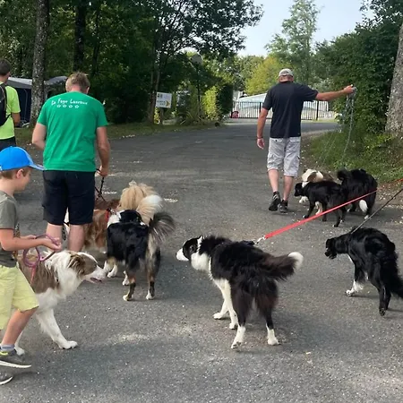 Mobil - 4 Pers., Animaux Ok - Api-1-52-2442 La Chapelle-Aubareil